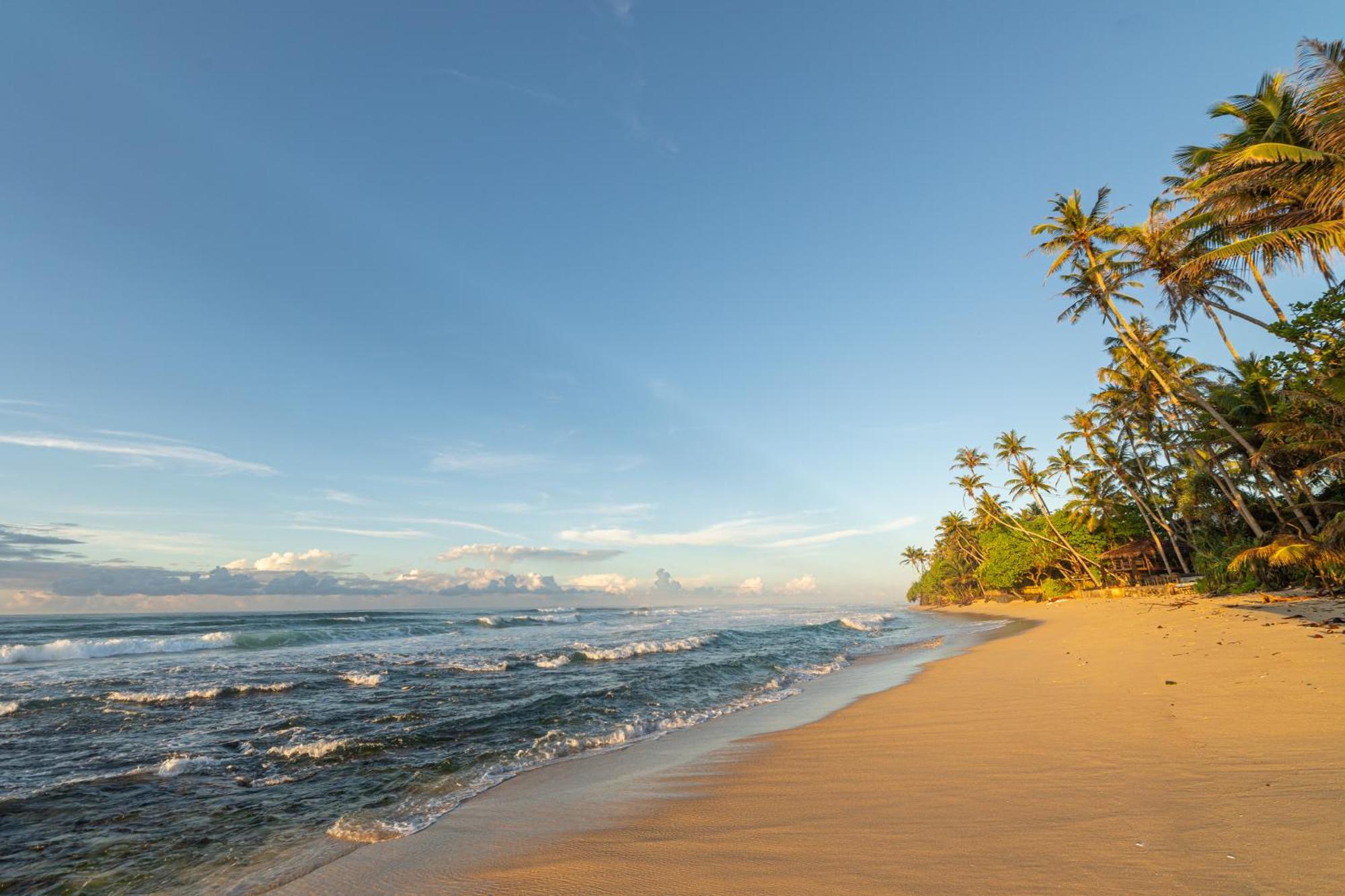 The Beach Talpe Unawatuna Dış mekan fotoğraf